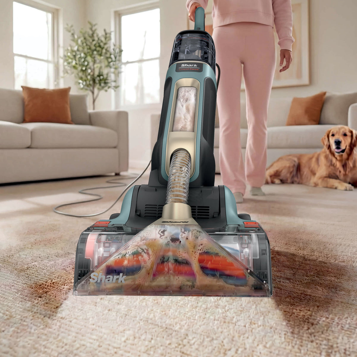 Shark® CarpetForce™ Upright Carpet Cleaner